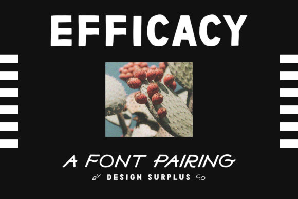 Efficacy Font for Handmade Branding and Creative Projects