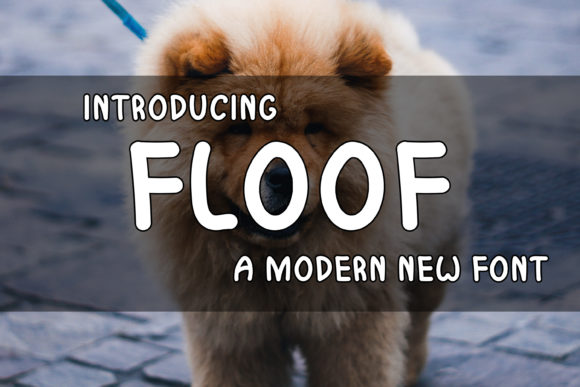 Floof: A Playful Display Font for Modern Editorial Design