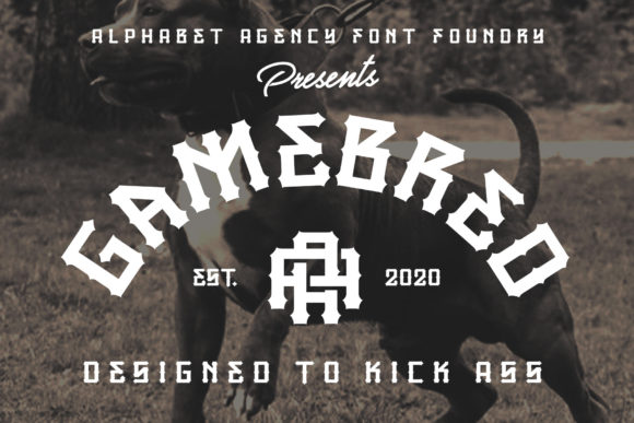 Gamebred: A Bold Display Font for Creative Branding