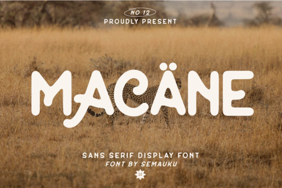 Macane: A Vintage Display Font for Modern Web Design